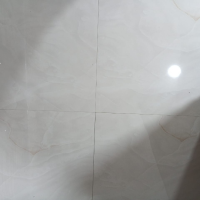 SIL VER ONYX WHITE