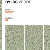 BYLSS VERDE