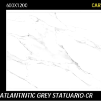 Atlantintic  grey statuario